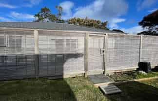 38A Powrie Street, Glenfield