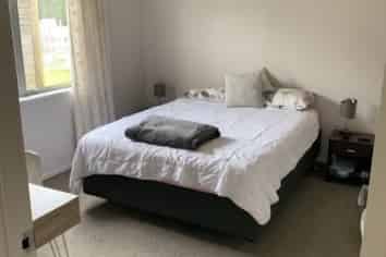 38A Powrie Street, Glenfield