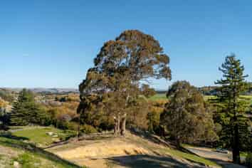 Lot 3 240 Black Rock Road, Masterton