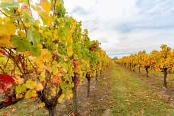 127 Church Road, Waipara