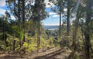 85 Brick Bay Drive, Sandspit