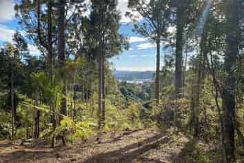 85 Brick Bay Drive, Sandspit