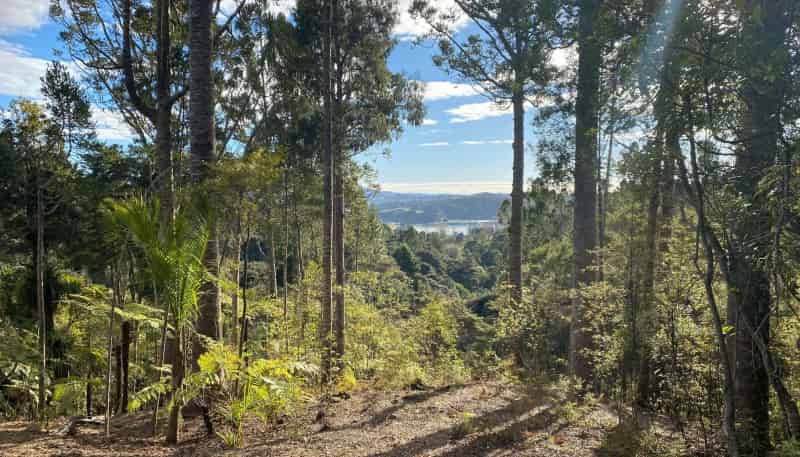 85 Brick Bay Drive, Sandspit