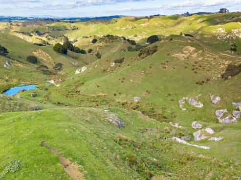 467 Ponganui Road, Onewhero