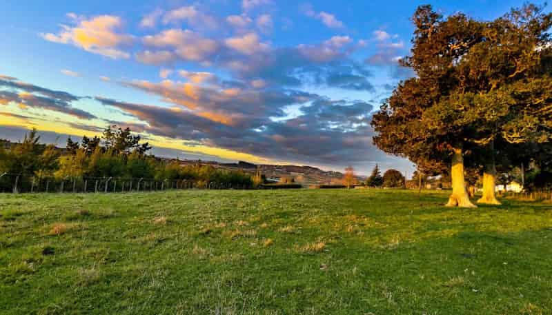 15A Shipherd Road, Puni