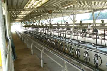 671 Kawhia Road, Otorohanga