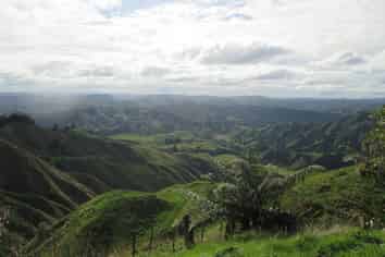 718 Opotiki Road, Waimiha-Ongarue