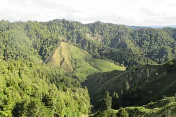 718 Opotiki Road, Waimiha-Ongarue