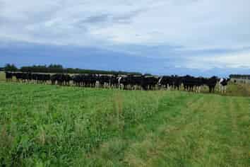 971 Te Pirita Road, Hororata