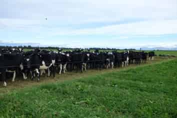 971 Te Pirita Road, Hororata