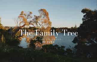 11 Fairlie Grove, Te Puna