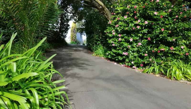 121 Clyde Road, Wairoa