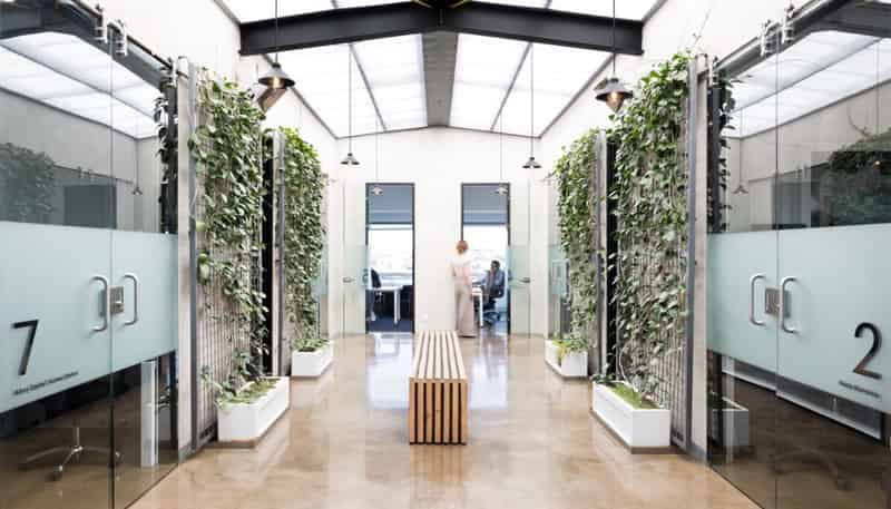 206 Jervois Road, Herne Bay