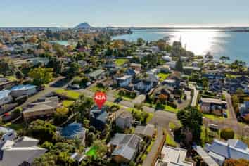 42A Harvey Street, Tauranga South