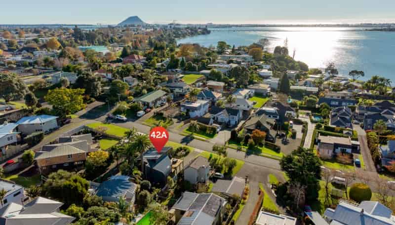 42A Harvey Street, Tauranga South