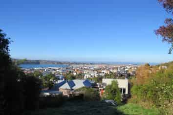103 Arthur Street, Dunedin Central