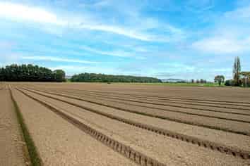 Lot 2 Waimata Valley Road, Hexton