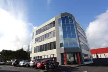 CBRE - Sunny Kalmia Street Office