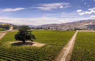 Lot 329 Wooing Tree Estate, 