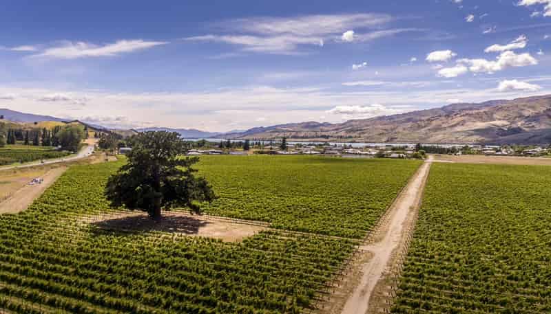 Lot 329 Wooing Tree Estate, 