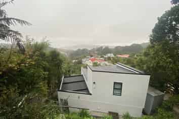 10 Koromiko Road, Aro Valley