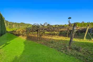 32 Gooseberry Grove, Pauanui