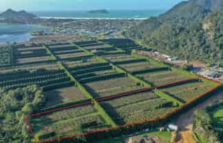 32 Gooseberry Grove, Pauanui