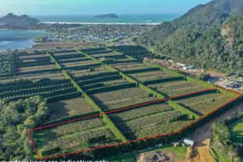 32 Gooseberry Grove, Pauanui