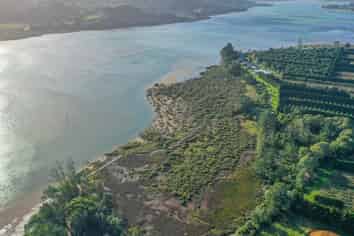 32 Gooseberry Grove, Pauanui