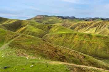 14666 Route 52, Eketahuna