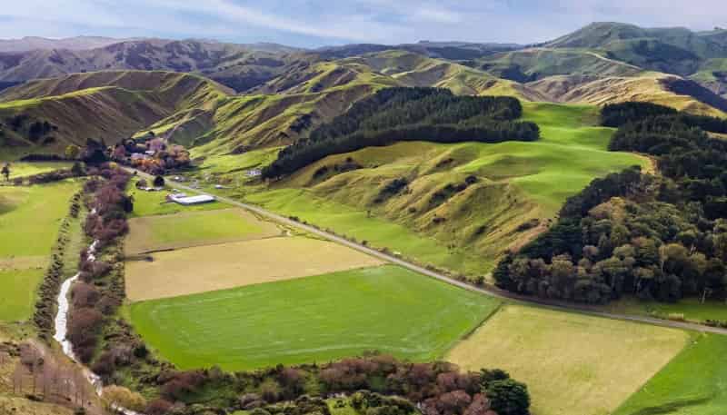 14666 Route 52, Eketahuna