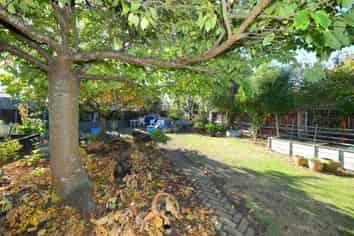 6 Savage Street, Kainga