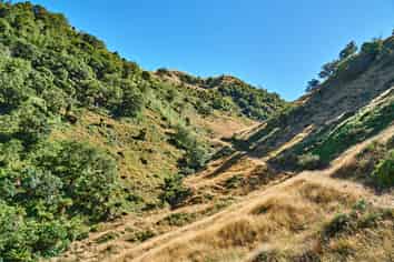  Raysburn Station, SHWY 2, Opotiki and Surrounds