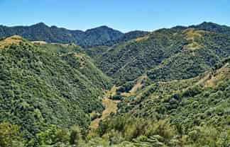  Raysburn Station, SHWY 2, Opotiki and Surrounds