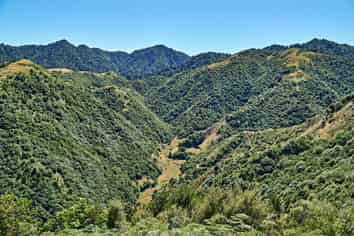  Raysburn Station, SHWY 2, Opotiki and Surrounds