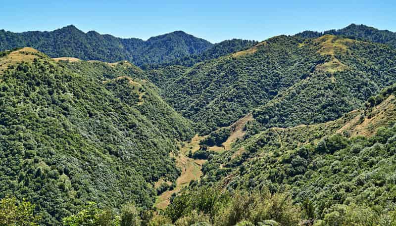  Raysburn Station, SHWY 2, Opotiki and Surrounds