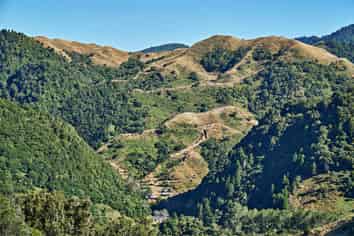  Raysburn Station, SHWY 2, Opotiki and Surrounds