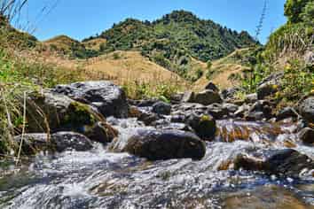  Raysburn Station, SHWY 2, Opotiki and Surrounds