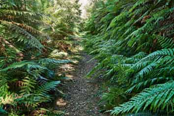  Raysburn Station, SHWY 2, Opotiki and Surrounds
