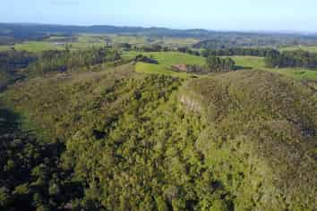 Lot 2  Glendale Heights, Kerikeri