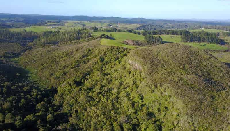 Lot 2  Glendale Heights, Kerikeri