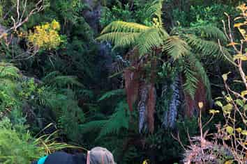 Lot 2  Glendale Heights, Kerikeri