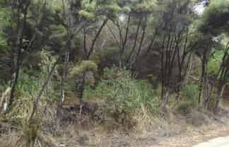 43 Greenview Drive, Mangawhai Heads