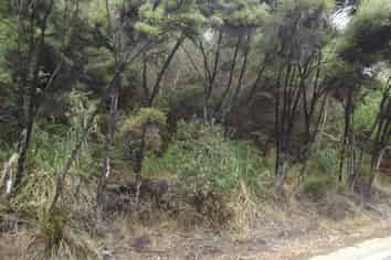 43 Greenview Drive, Mangawhai Heads