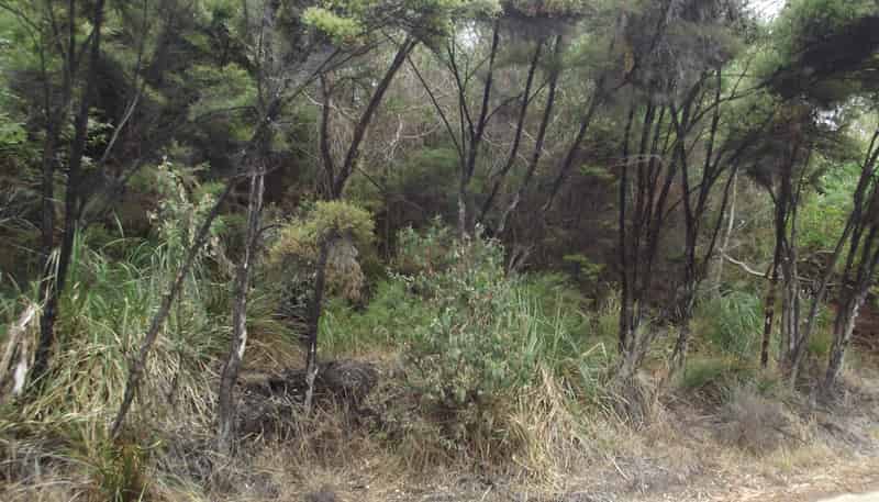 43 Greenview Drive, Mangawhai Heads