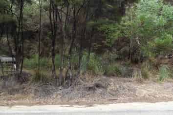 43 Greenview Drive, Mangawhai Heads