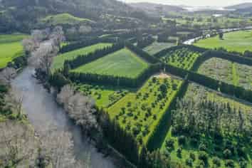 1818 State Highway 25, Whitianga