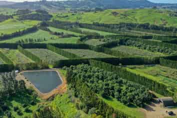 1818 State Highway 25, Whitianga