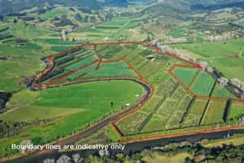 1818 State Highway 25, Whitianga