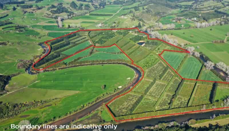 1818 State Highway 25, Whitianga